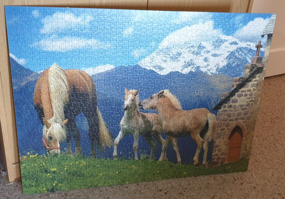 Ravensburger Puzzle: Puzzle – Usato da Subingen venduto da Hummer