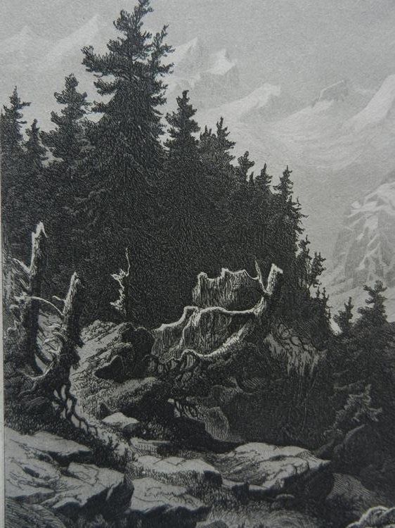 Gravures: Piz Bernina – D'occasion à Risch par Rischli15 3