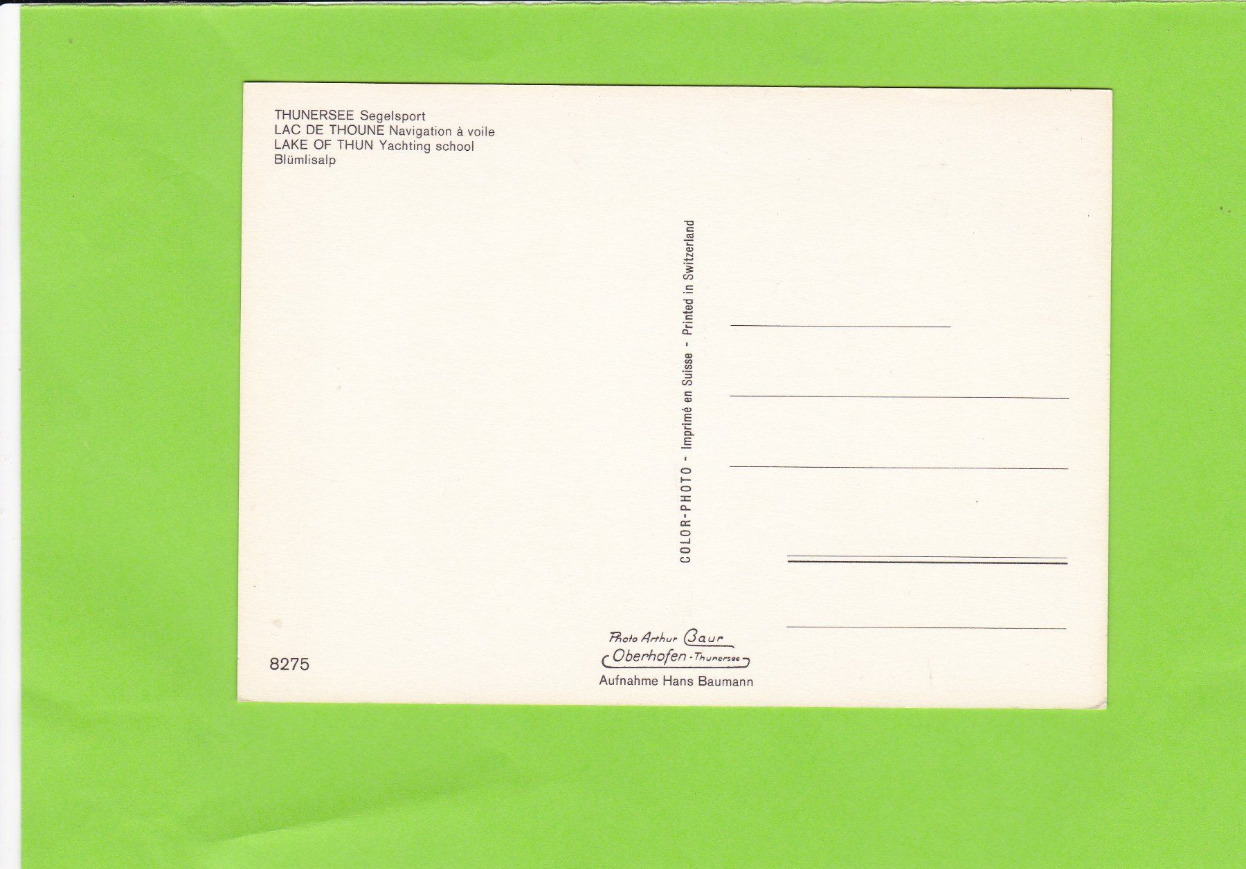 Cartoline postali: Segelsport auf dem Thunersee – Usato da St. Peterzell venduto da neckertal 1