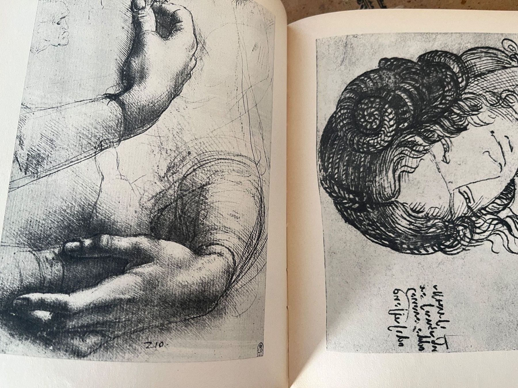 Libri: Leonardo da Vinci Gemälde Zeichnungen Studien, 1939 – Usato da Stetten AG venduto da Brissago25 6