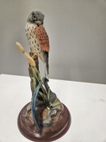 Turmfalke von Fine Arts Studio 20cm