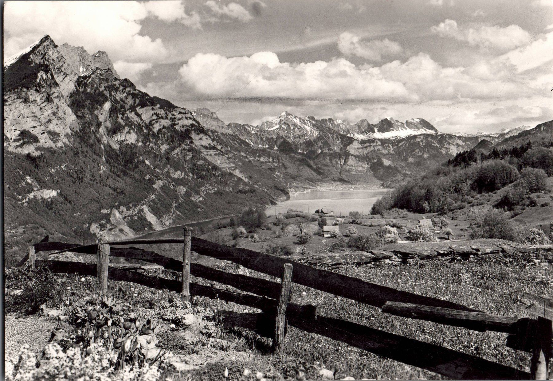 Cartoline postali: Originale Vintage Postkarte, Walensee, Alvierkette,GL – Nuovo (secondo la descrizione) da Zürich venduto da axolottchen