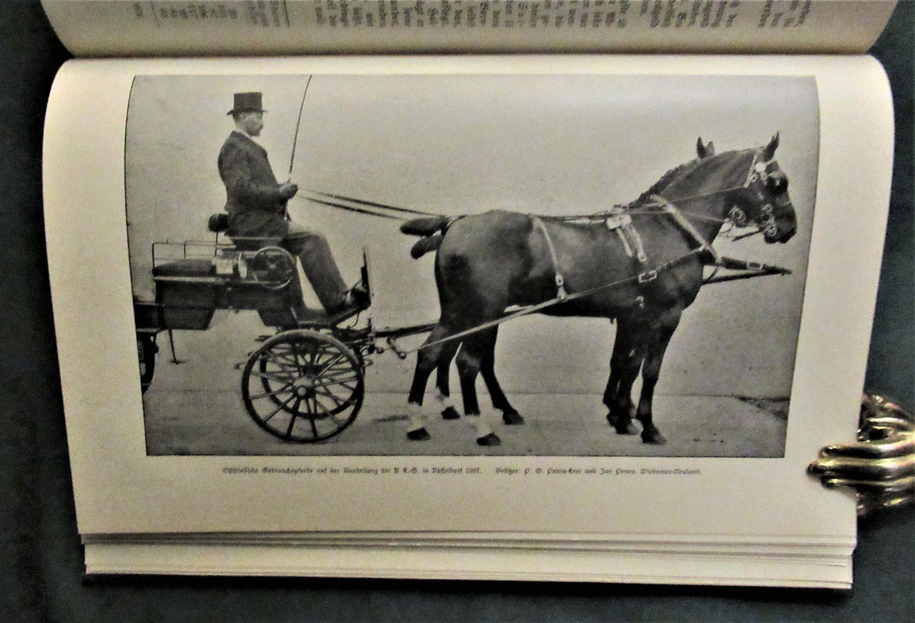 Libri: * Pferde  Pferdezucht   Ostfriesen  Reiten – Usato da hedingen venduto da kurattli01 3