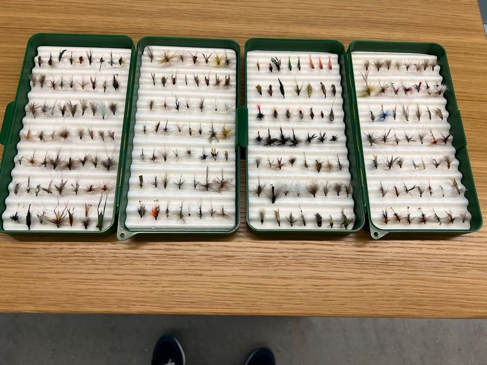 Fliegenfischen Nymphen Set 12 Stück - Forellen Köder Für Süßwasser