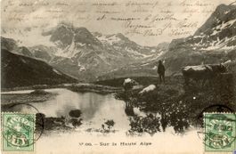 Vaud   VD  -   Sur la Haute Alpe   vaches / Kühe    en 1908