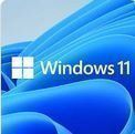 Windows 11 Pro Plus, Windows 11 Professional Plus noch 1 Key