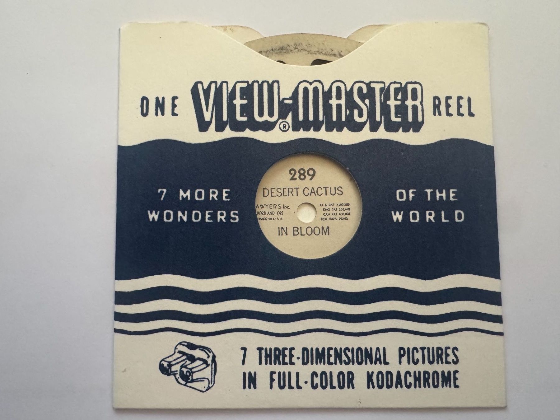 View-master Giocattoli: View-Master 3D: Nr. 289 DESERT CACTUS IN BLOOM – Usato da Tegerfelden venduto da siebenmacky