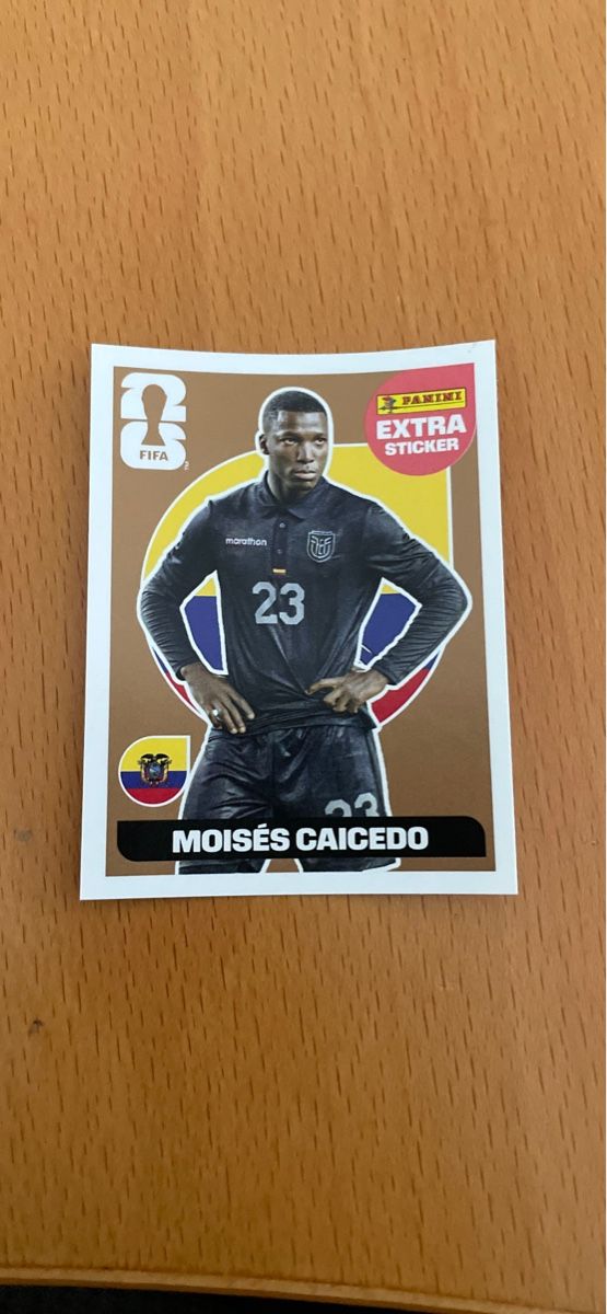 Panini Cartes à collectionner: Panini extra sticker Bronze – Neuf (Voir description) à Wolfenschiessen par Teufel2