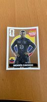 Panini extra sticker Bronze