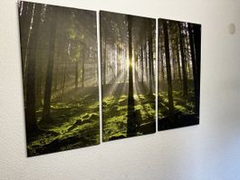 DREI ZUSAMMENHÄNGENDE BILDER (LEINWAND)