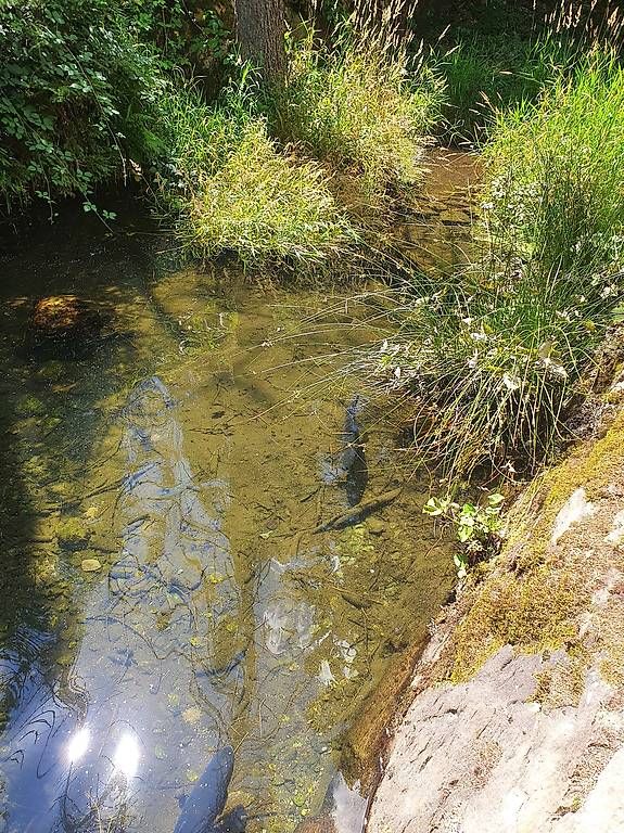 Giocattoli: Paysagiste/Jardinier  – Usato da Morges venduto da Rosaprates 2