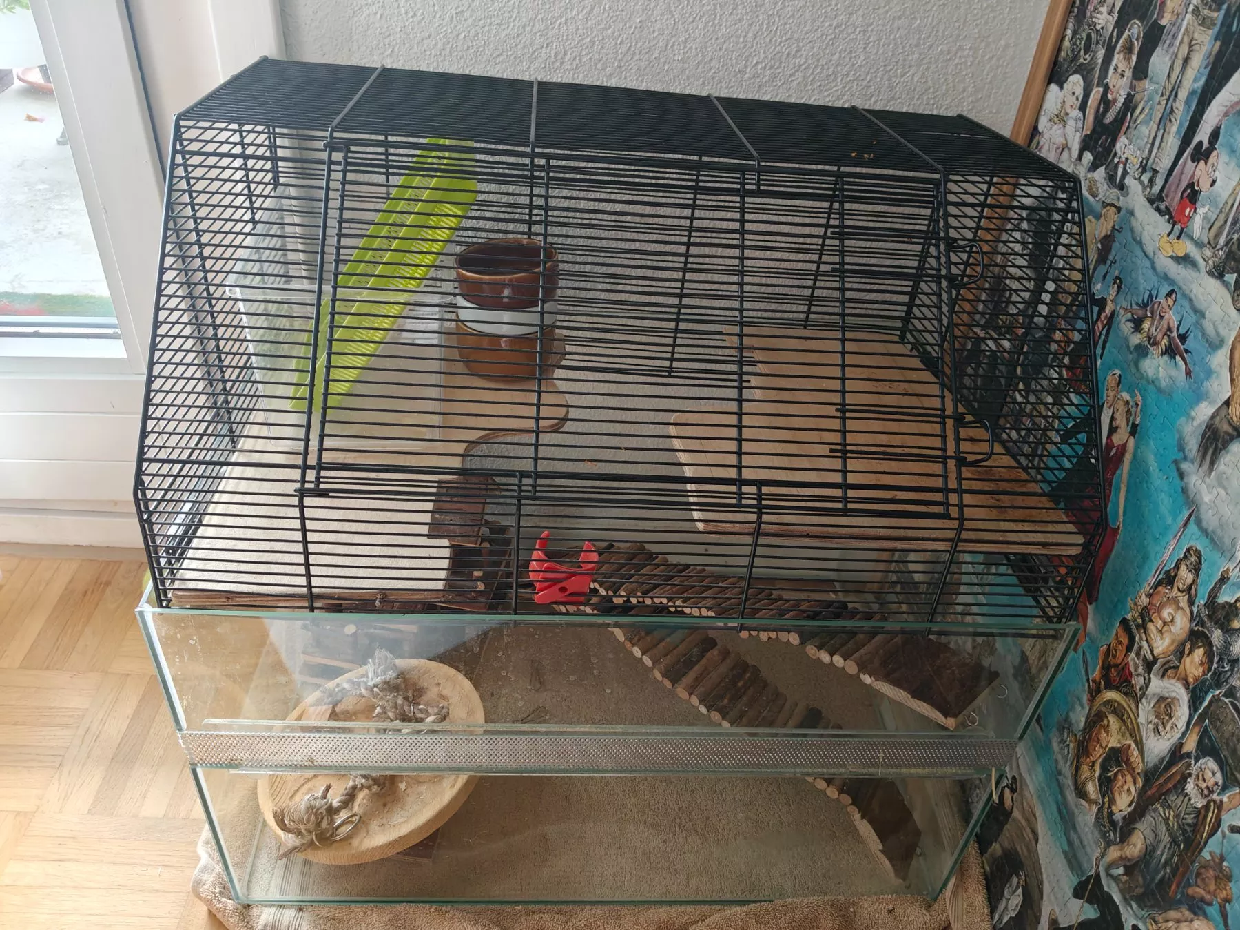 Gabbie, trasporto & Sicurezza: Hamsterkäfig – Usato da Effretikon venduto da emm_yl5m