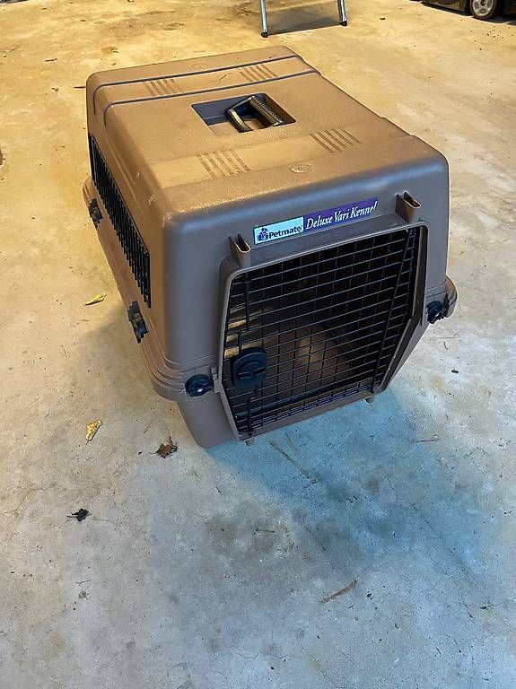 Gabbie, trasporto & Sicurezza: Hundebox – Usato da Winterthur venduto da suuperboe 2