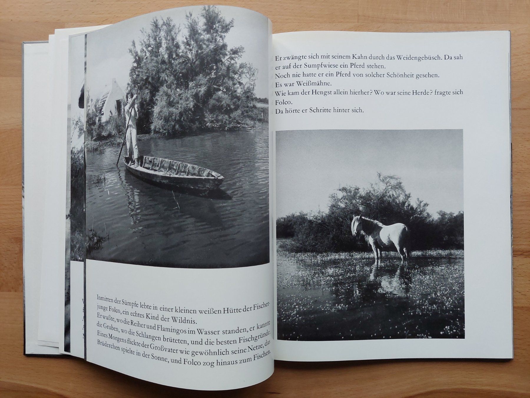 Livres: Der weisse Hengst - Albert Lamorisse – D'occasion à Obfelden par Foto_Bild_Kunst_Buch 5