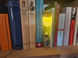 Deko für Bücherregal