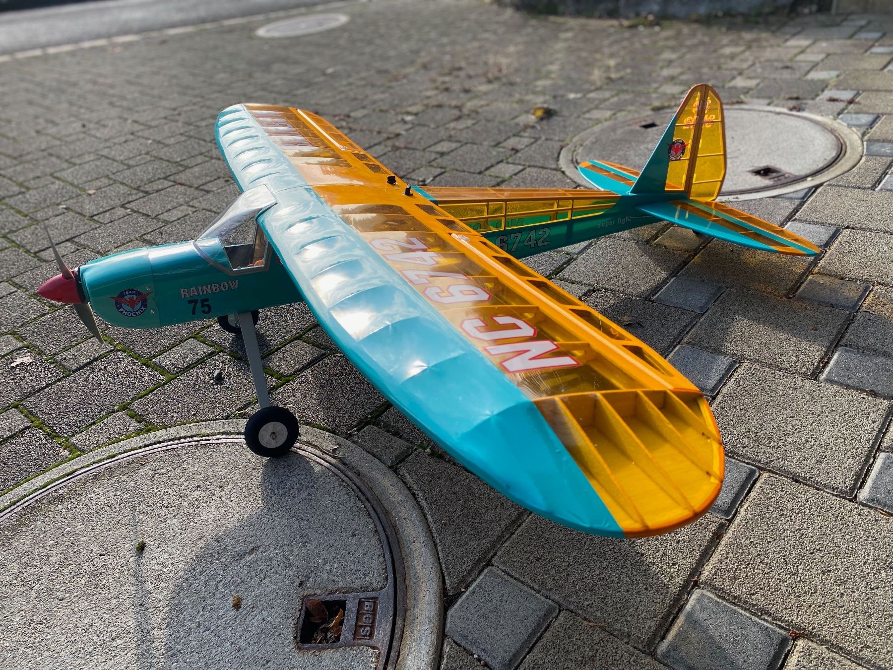 Modellismo RC: RC Hochdecker Rainbow 1.6m – Usato da Ammerswil (AG) venduto da Extmage 3