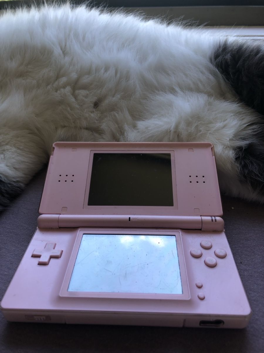 Nintendo Consoles: Console Nintendo DS Lite rose – D'occasion à Ecublens VD par eww_mvr8