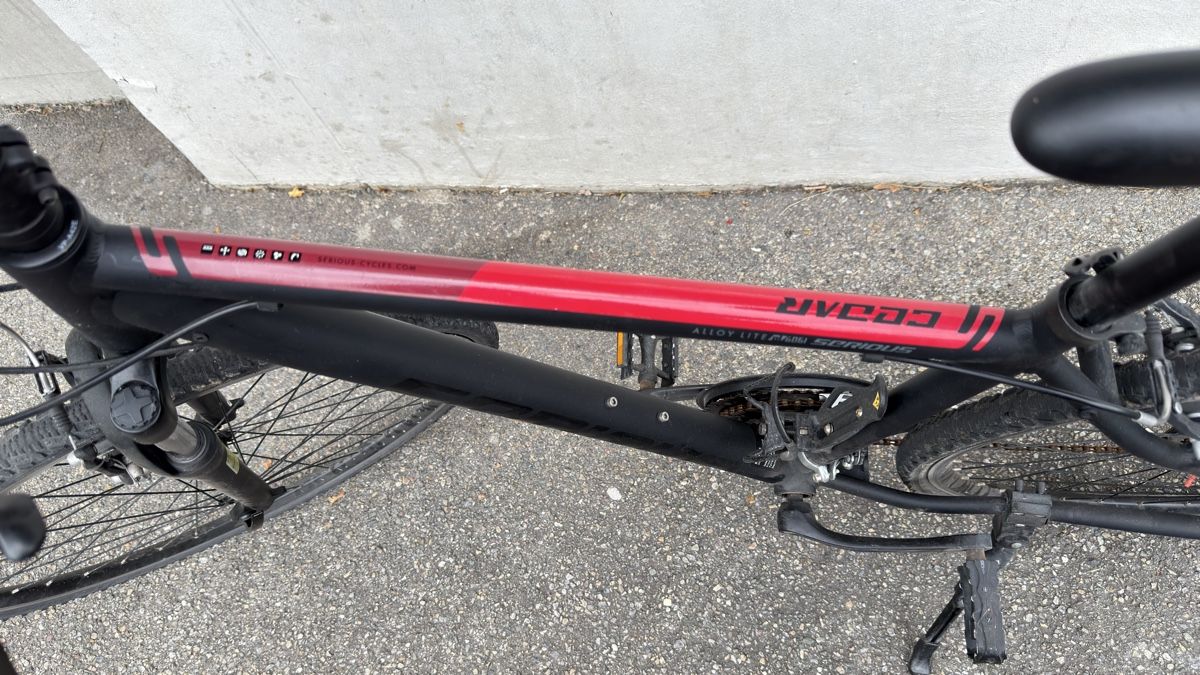 Biciclette: Mountainbike Velo – Usato da schlieren venduto da elezkurtaj 4