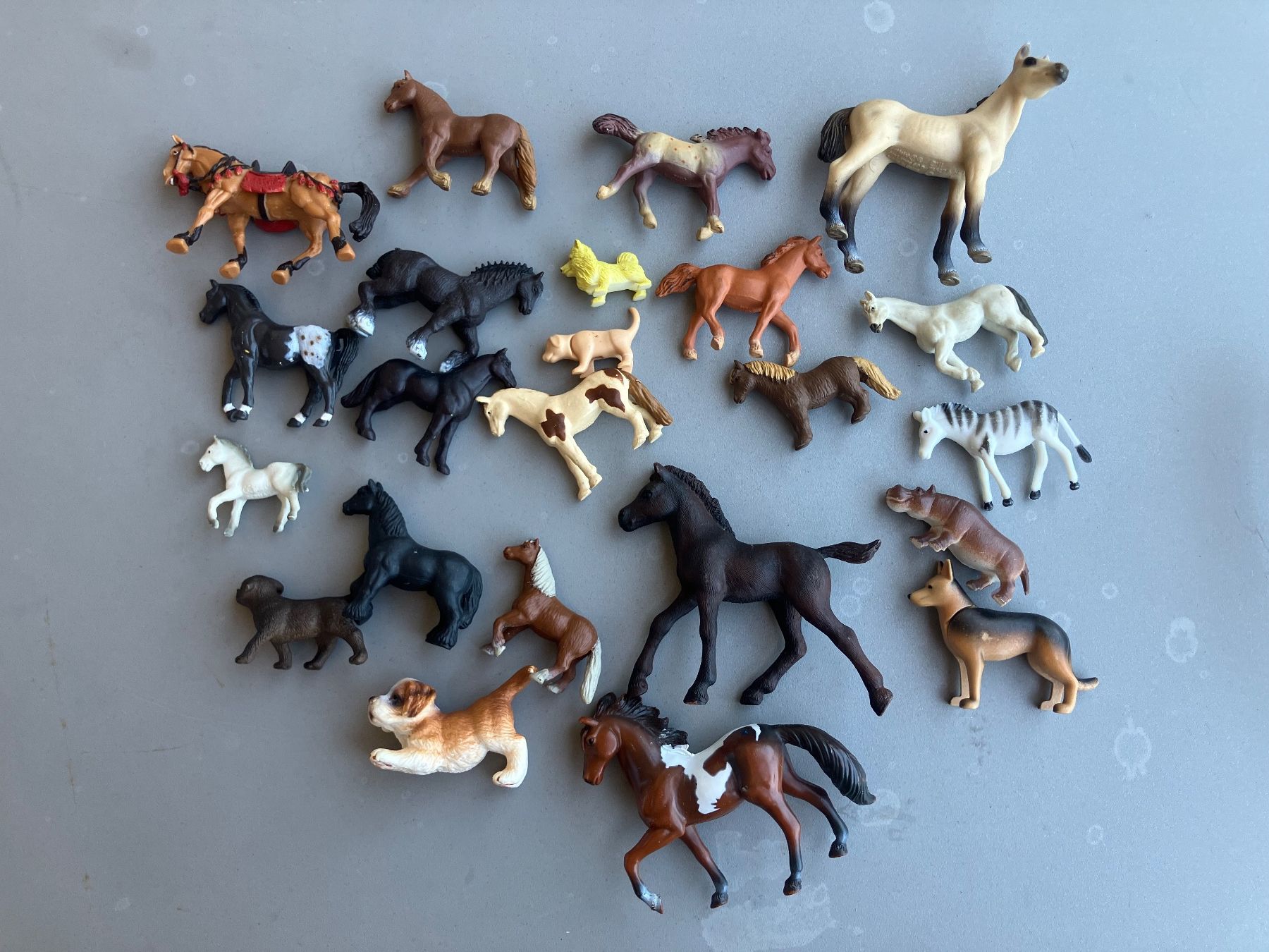 Schleich Figuren: Schleich Tier Model grand set – Neu (gemäss Beschreibung) aus sion von orchikorchik