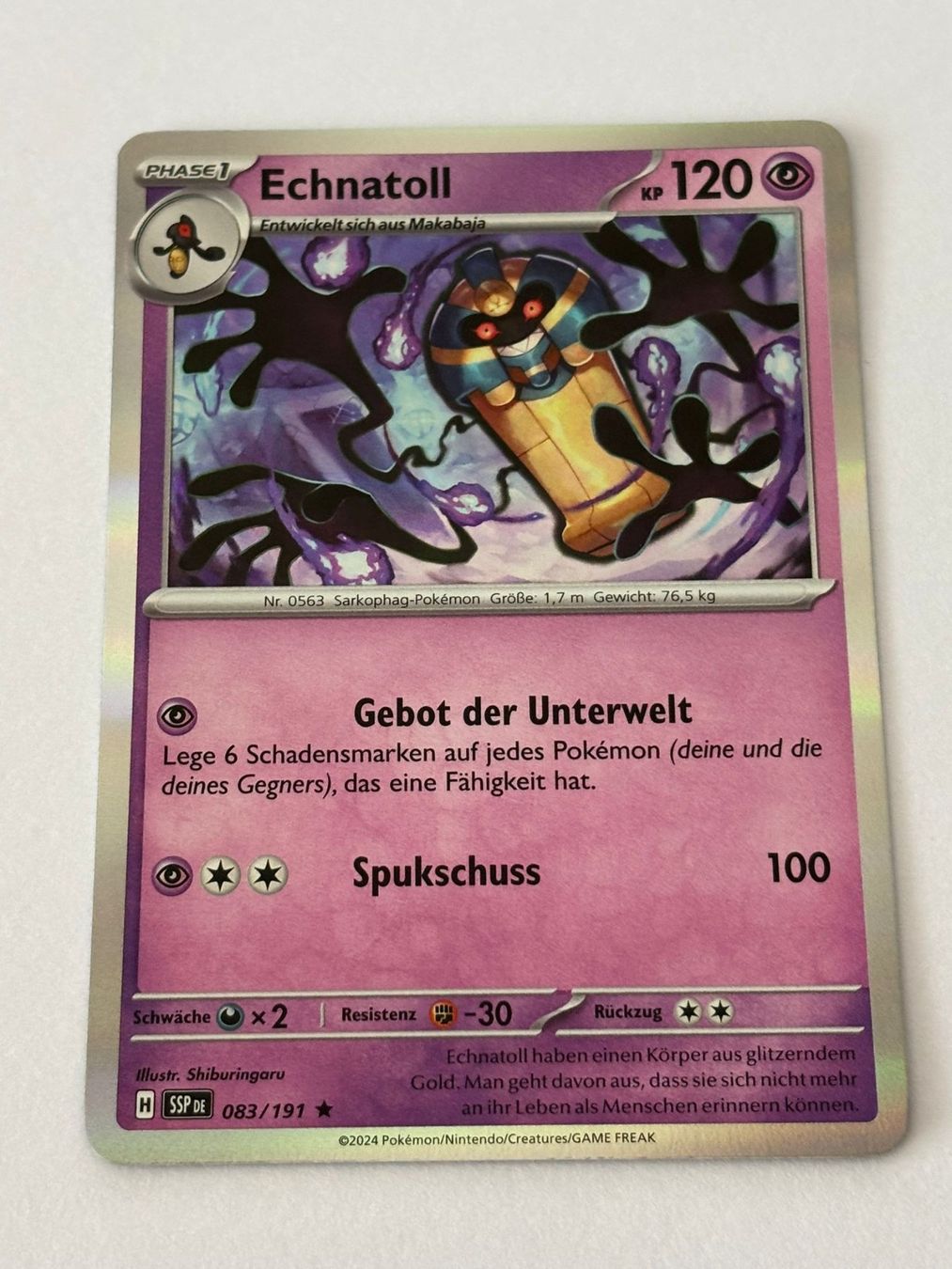 Pokémon Carte collezionabili: Pokemon-Karte Echnatoll 083/191 – Usato da Herisau venduto da Seyashop1