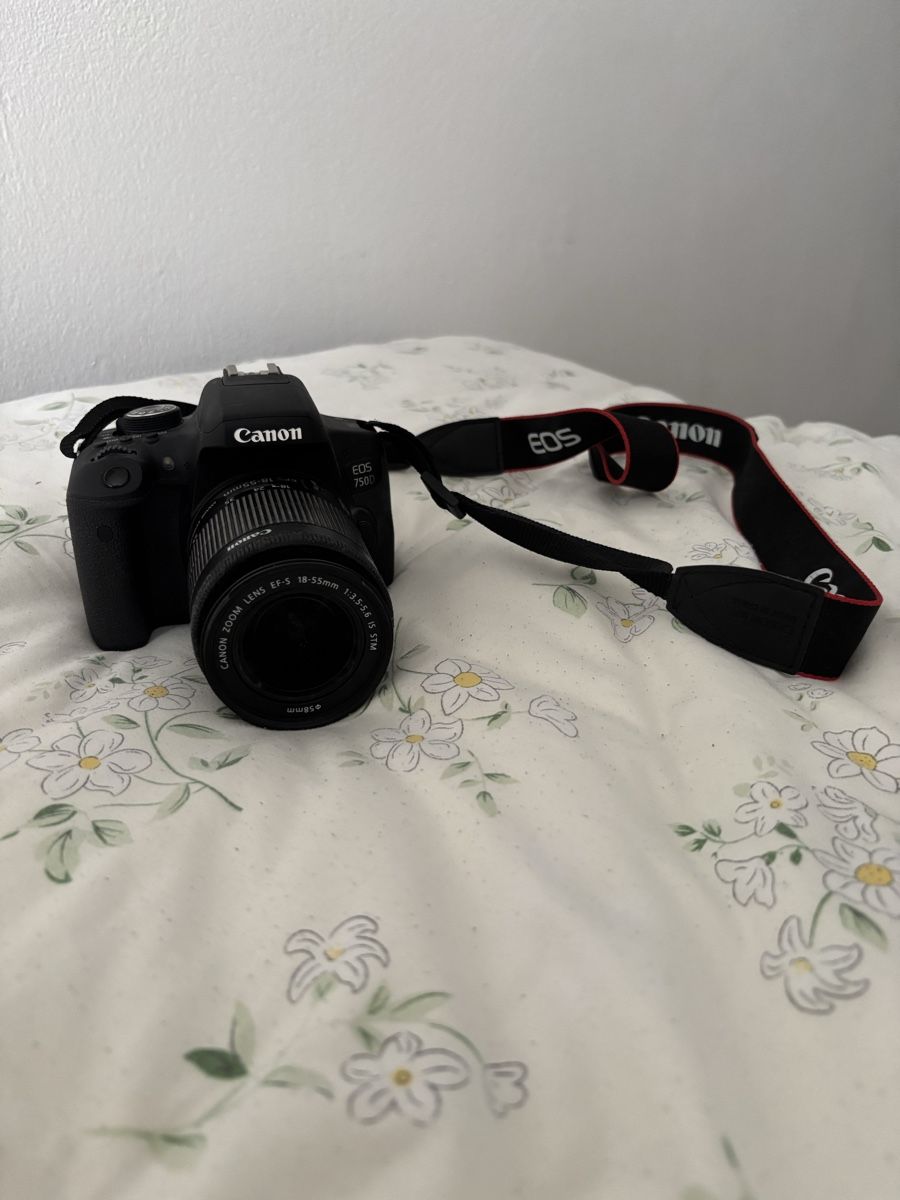 Canon Kamera: Canon EOS 750D Spiegelreflexkamera mit Ladegerät – Gebraucht aus Bülach von reaos