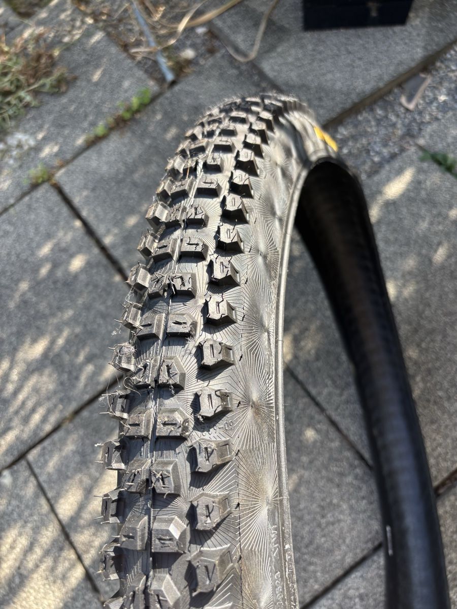 Pneumatici & Ruote complete: Continental Kryptotal 29x2.4 – Nuovo e nell'imballaggio originale da La Heutte venduto da d1ev4n 2