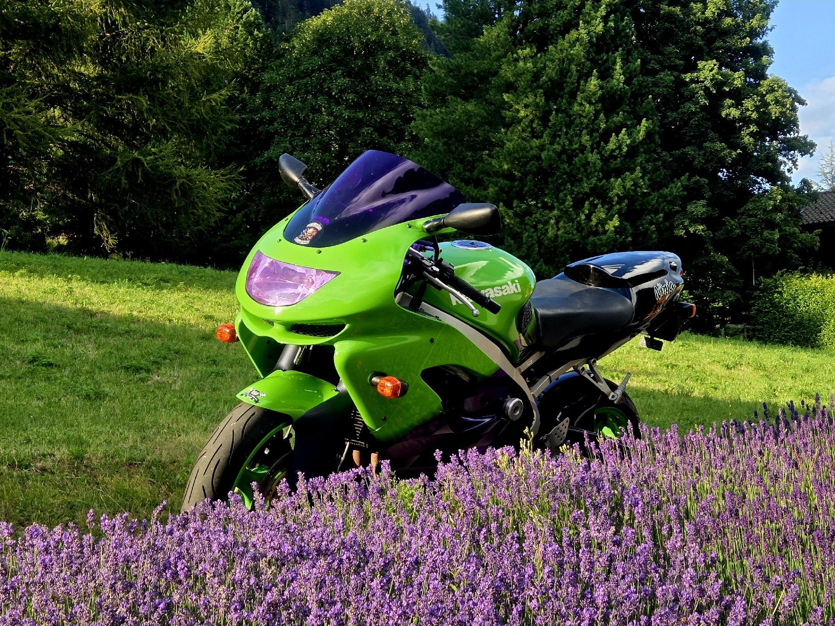 Kawasaki Strada: Kawasaki Ninja zx9r – Usato da Rougemont venduto da victor.wnk 5