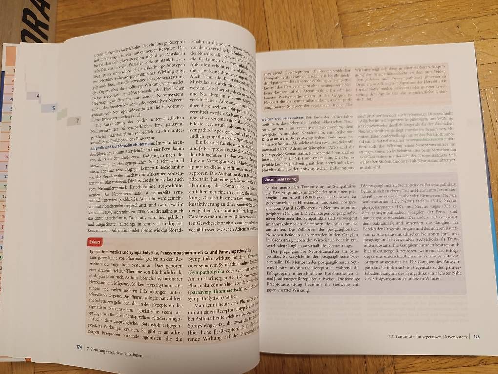 Libri: Wahrnehmungspsychologie – Usato da Luzern venduto da gowshekan98 1