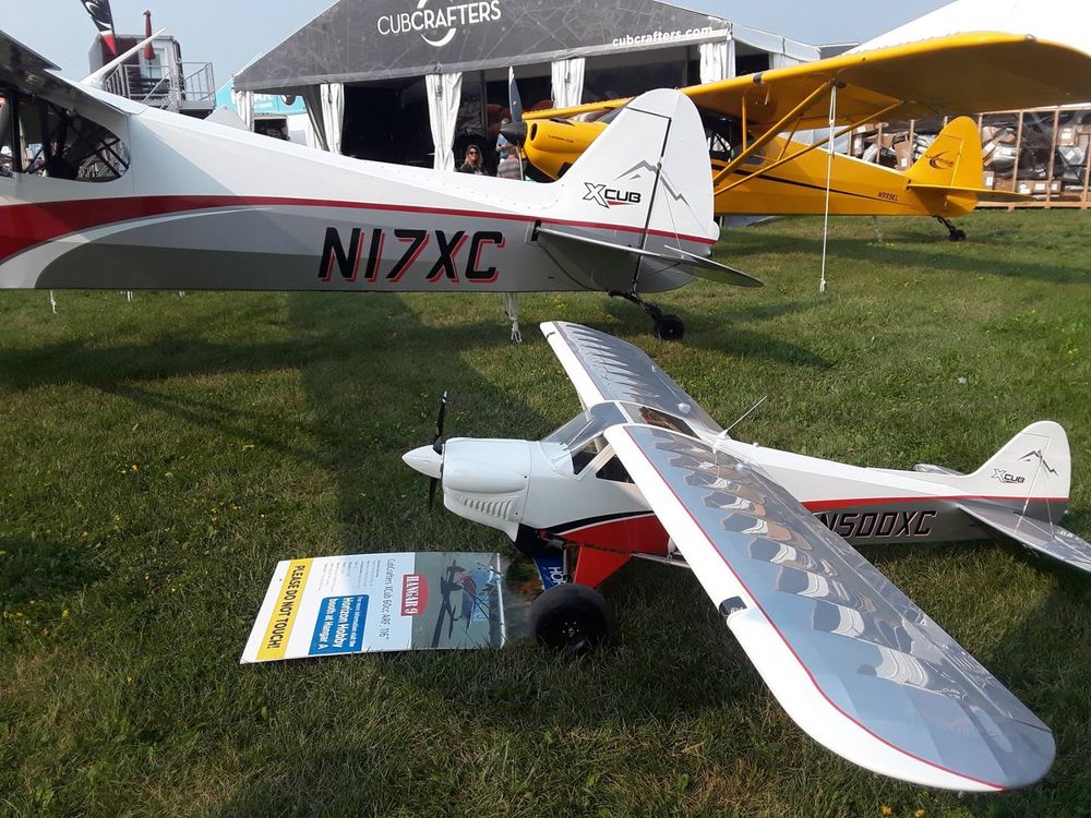 Hangar 9 Cub Crafters XCub 2940mm ARF mit SAITO FG 61TS (Neu (gemäss ...