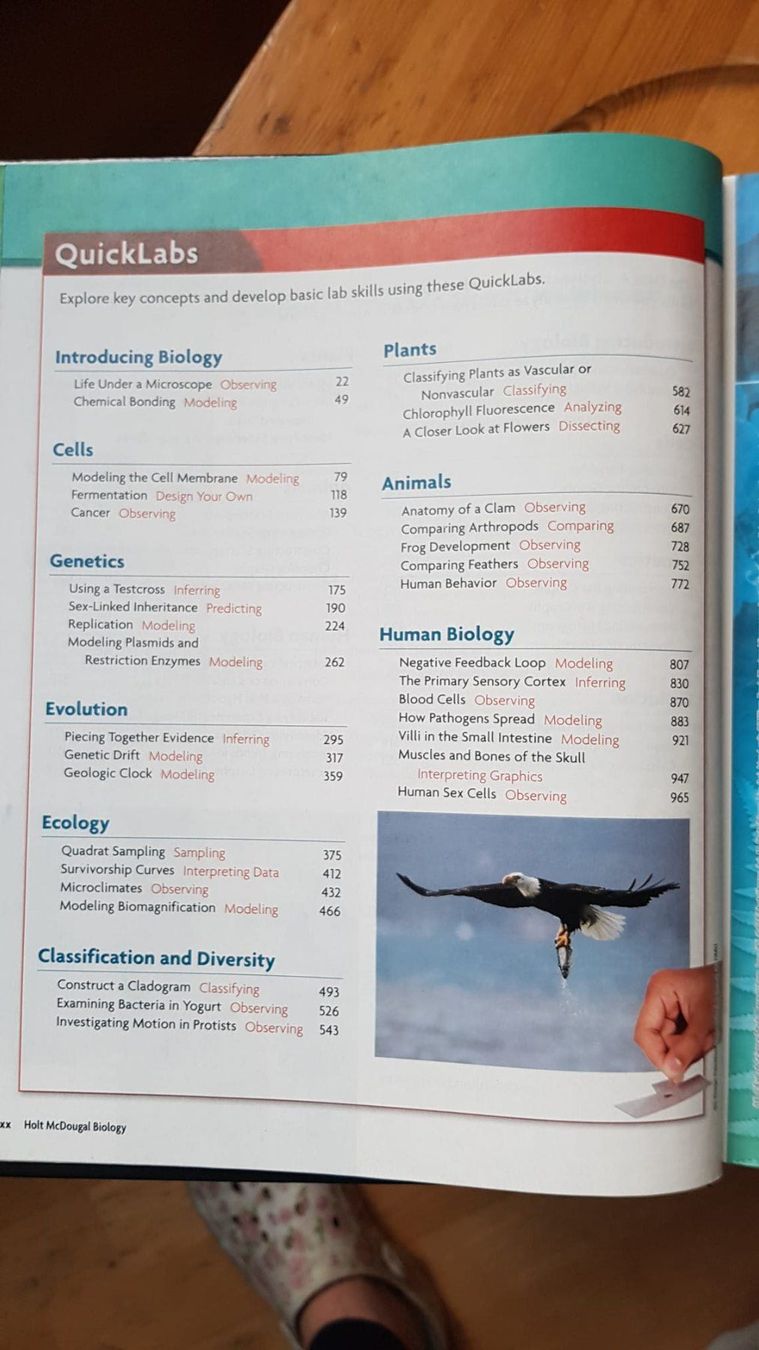 Libri: Biology - Holt Mc Dougal Stephen Nowicki – Usato da Spiegel b. Bern venduto da ale_x59l 3