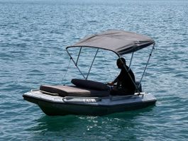 Bateau Delavergne moistic
