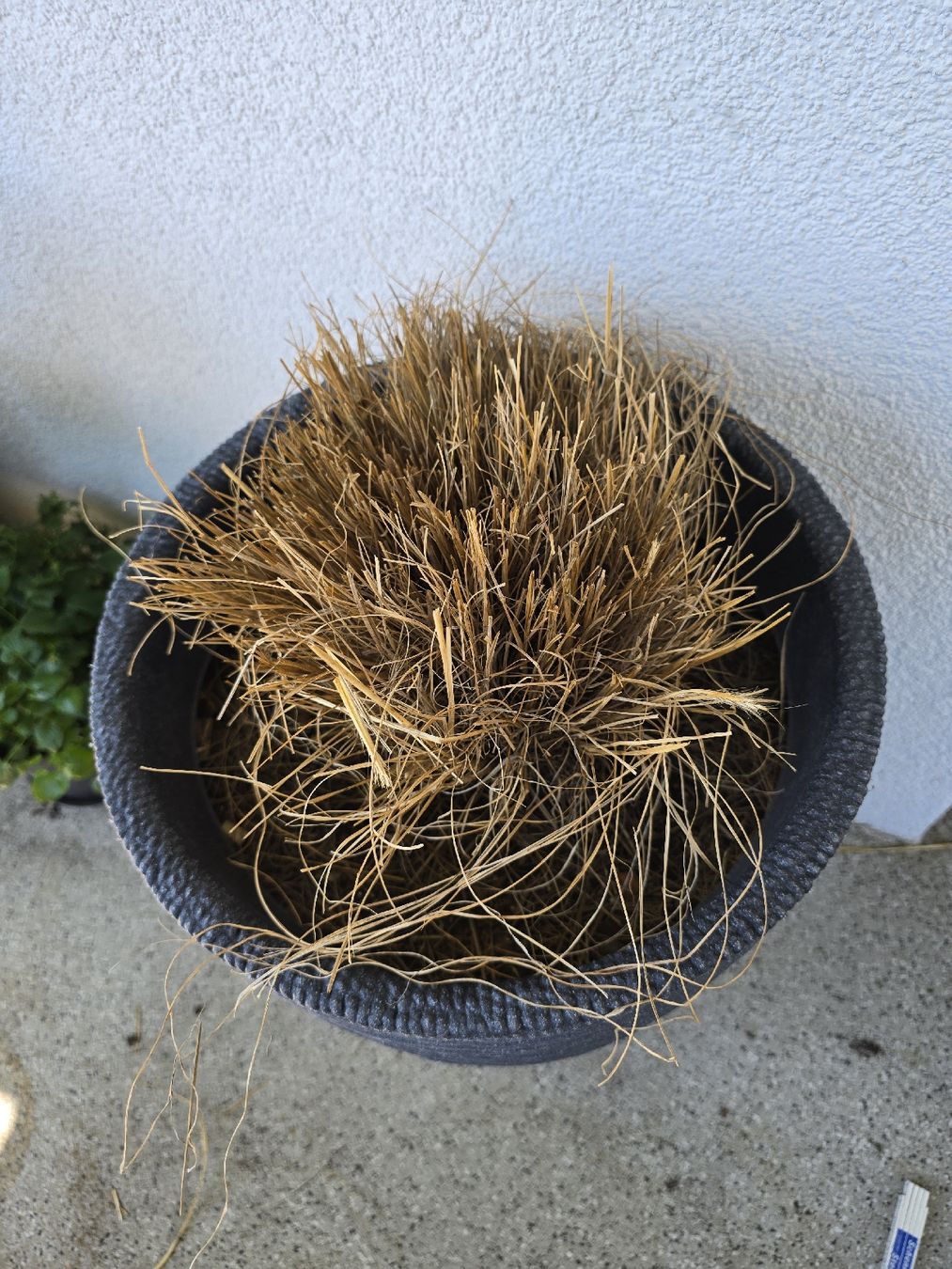 Blumentöpfe: Blumentopf / Pflanzentopf – Gebraucht aus Rickenbach b. Wil von Kth_v8 2