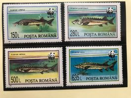 Rumänien 1994 Satz WWF Stör postfrisch