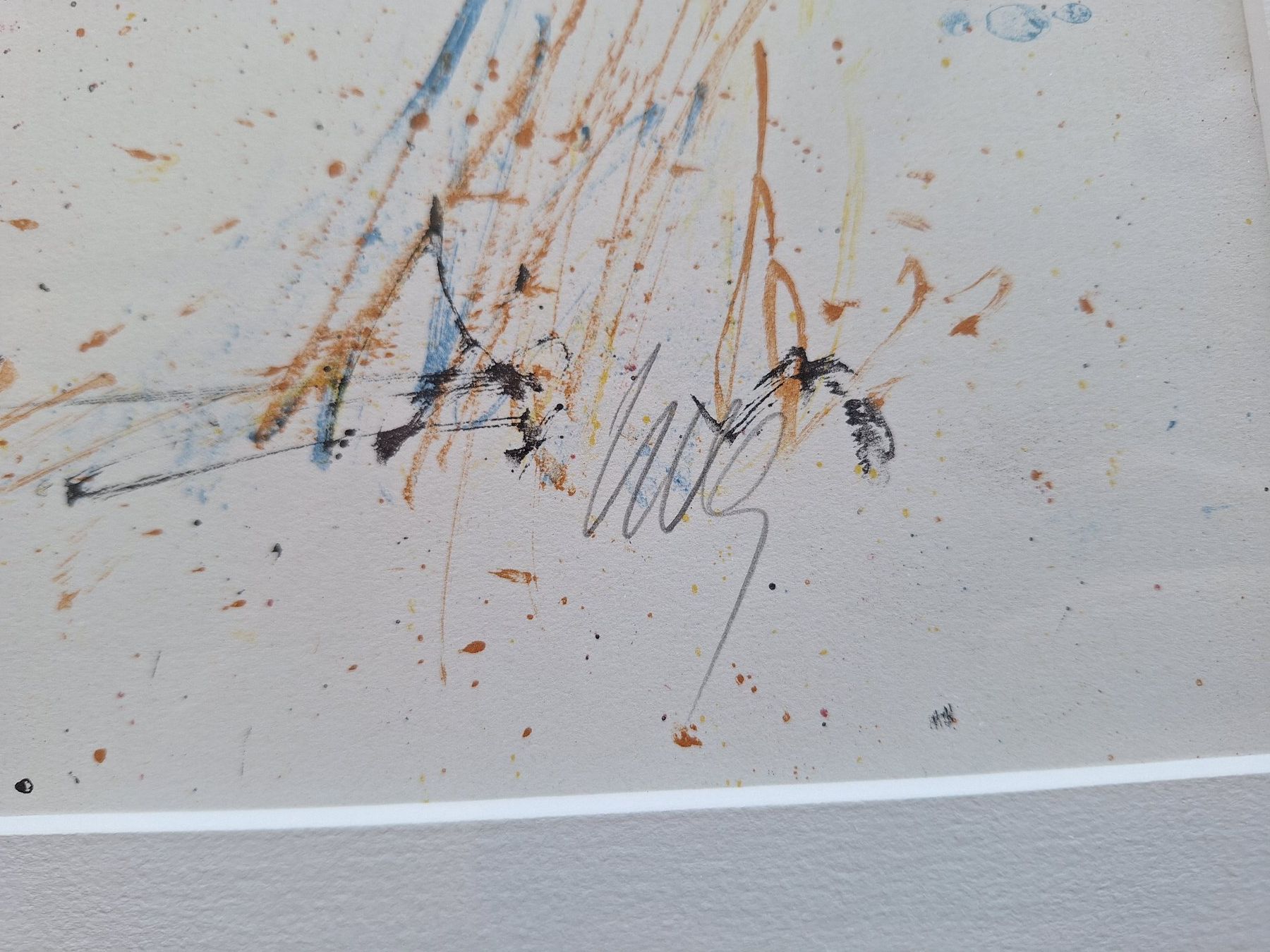 Grafica & Litografie: Fritz Hug - Fasan Lithografie handsigniert mit Bleistift – Usato da Altstätten SG venduto da GGsGameshop 2