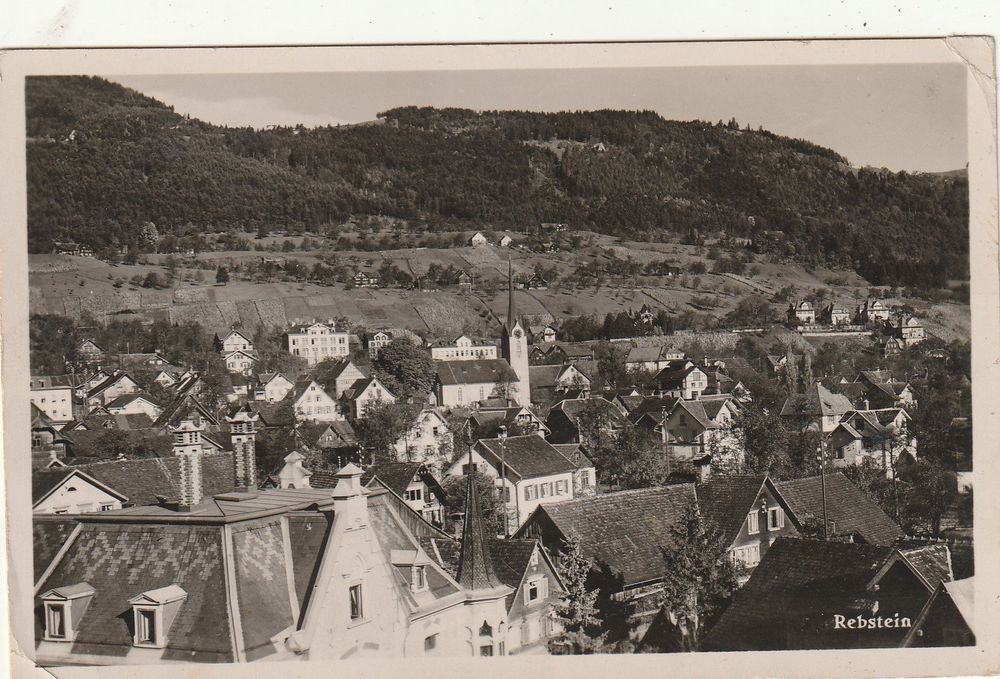 Rebstein (Gebraucht) in Rorschacherberg für CHF 8 – mit Lieferung auf ...