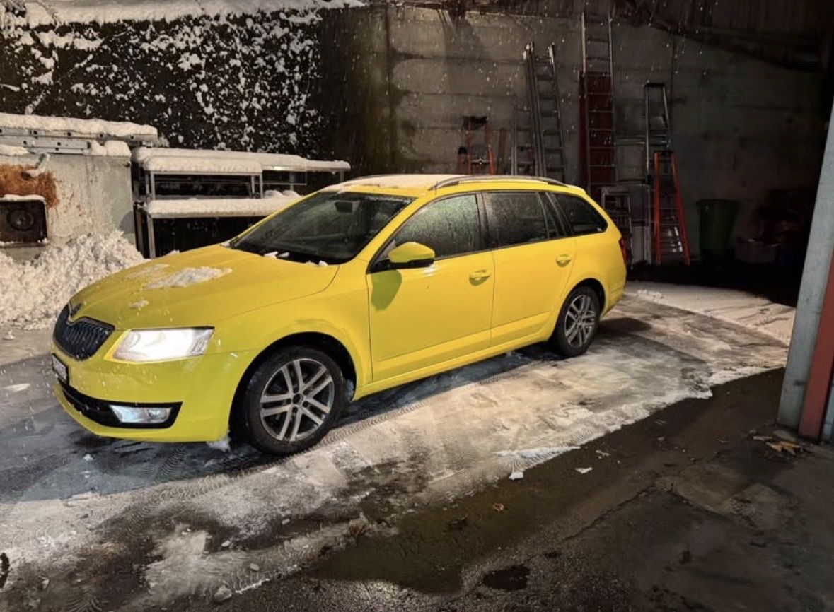 Skoda Autos: Skoda Octavia – Gebraucht aus Menziken von Firstone
