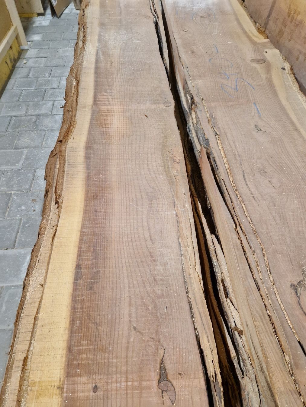 Articoli in legno: Klotzbretter CH Mammutbaum – Nuovo (secondo la descrizione) da Thun venduto da Thierry_Pfau 5