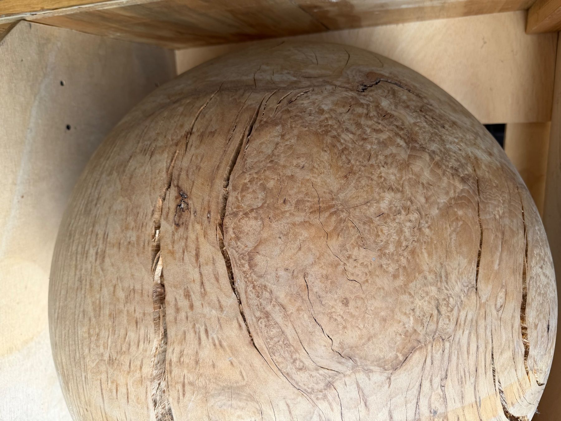 Articoli in legno: Holzkugel Buche; 65 cm; roh, – Nuovo (secondo la descrizione) da Wildberg venduto da Melramos04 6