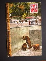 Postkarte Bern Bärengraben 1912 Litho (P360)