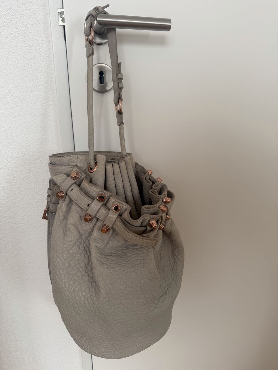 Alexander Wang Borse: Alexander Wang bag – Usato da Granges-Paccot venduto da Hyrenne