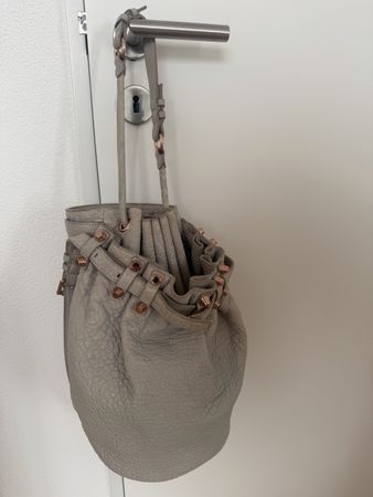 Alexander Wang bag