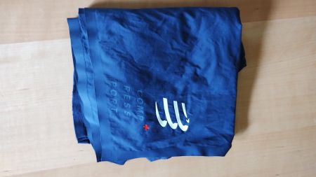 Short compressport bleu