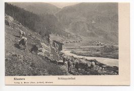 KLOSTERS Schlappinathal - Bauer mit Kühen