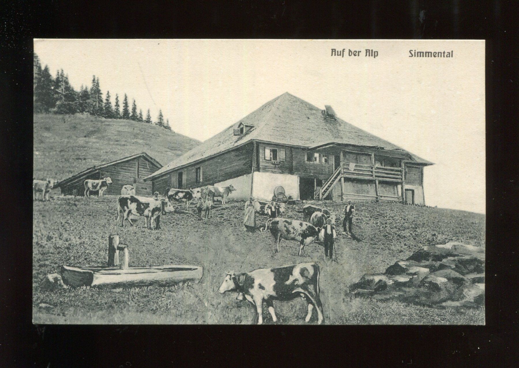 Ansichtskarten: Simmental, Auf der Alp – Gebraucht aus Aarau von Elmaar41
