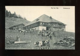 Simmental, Auf der Alp