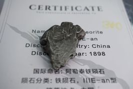 Aletai  Meteorit  China   13.5g    ab 20.-   Auktion