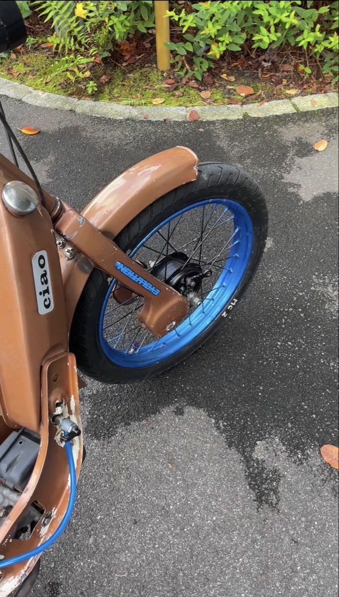 Piaggio Ciclomotori: Piaggio Ciao C7E (Mit Ausweis) – Usato da Rotkreuz venduto da Chochi 6