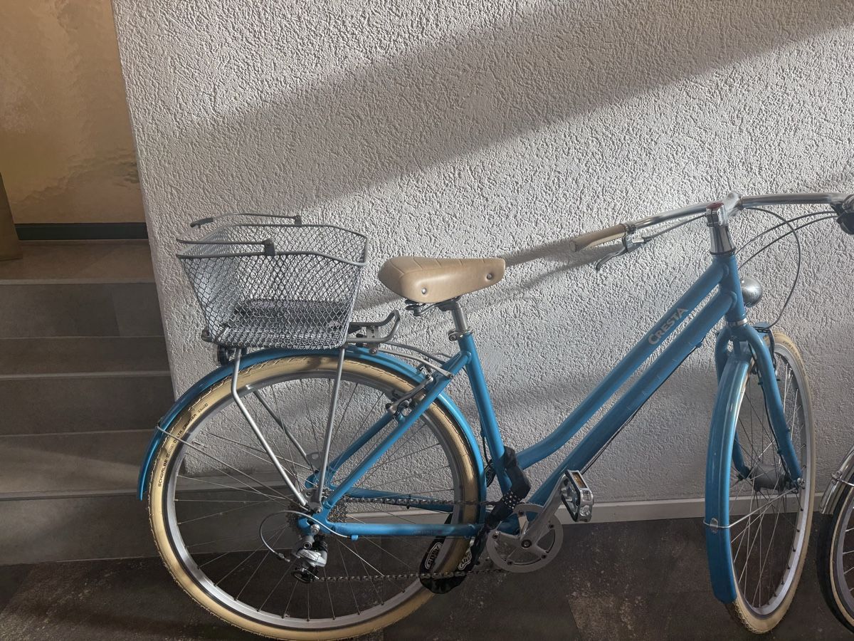 Cresta Biciclette: Cresta Velo zum Verkaufen – Usato da Basel venduto da nini_lee