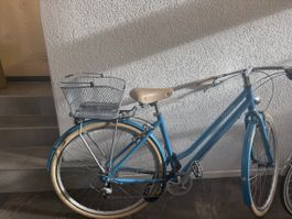 Cresta Velo zum Verkaufen