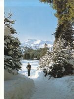 Lenzerheide 1981